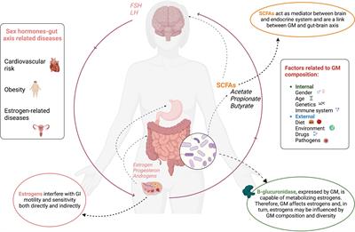 Precocious puberty and microbiota: The role of the sex hormone–gut microbiome axis
